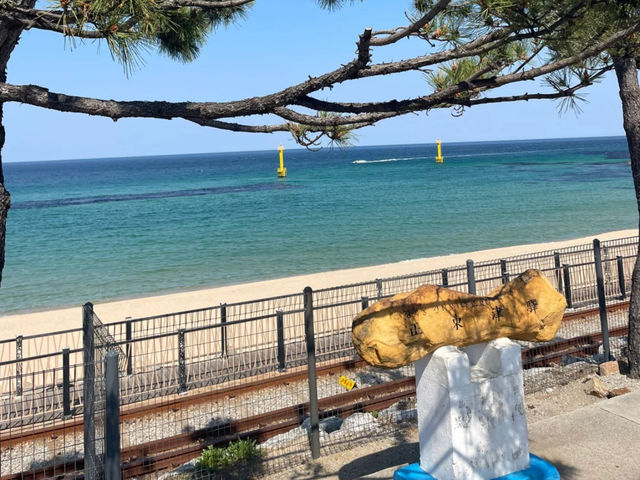 Jeongdongjin: Korea's East Coast Gem 🇰🇷🌊