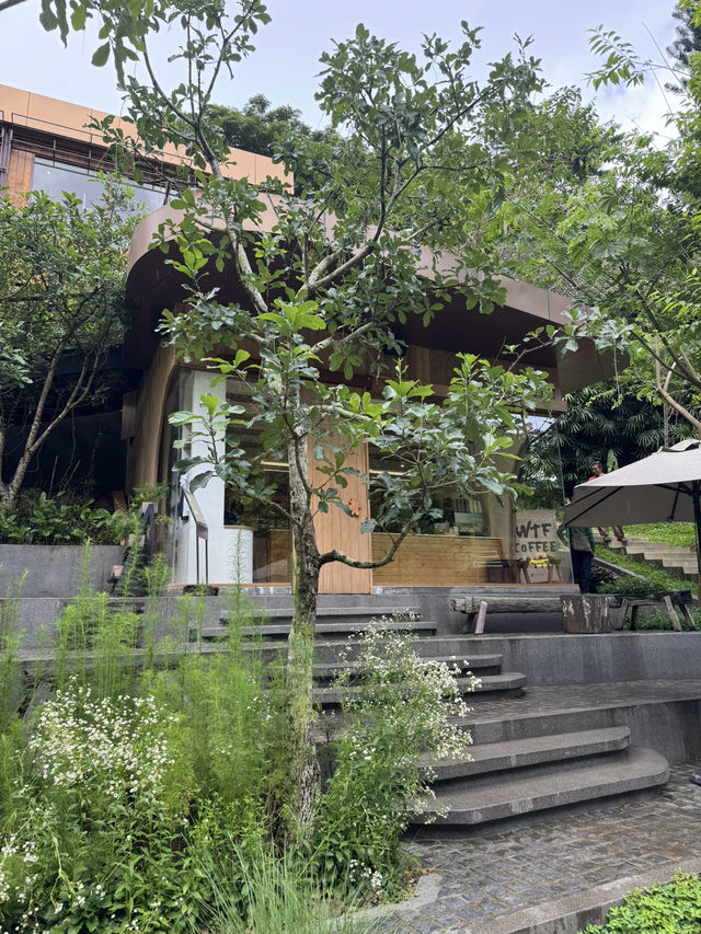 คาเฟ่เชียงใหม่ที่ไม่ควรพลาดต้องที่นี่ WTF Cafe ⛰️