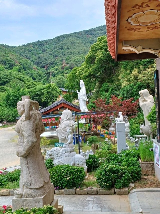 마음 정리하기 좋은 사찰🍃