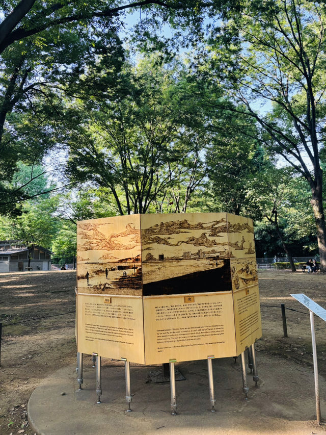 上野恩賜公園🇯🇵の芸術の散歩道で癒されよう🌿⟡.·