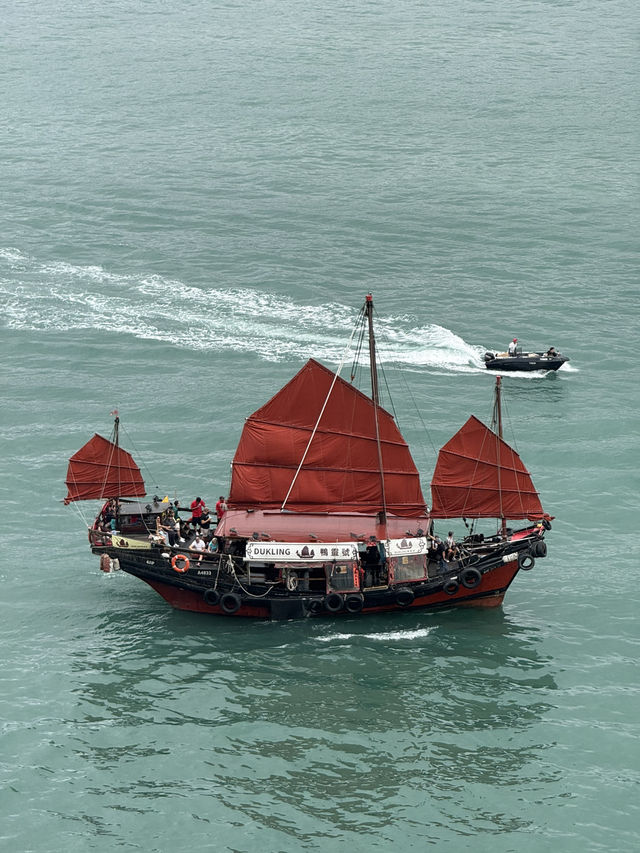 🏙️ 3D2N Hong Kong Itinerary + Budget Tips 💸 | Eat, Explore & Save!