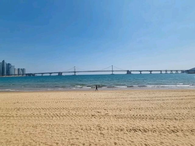 広安大橋が彩る絶景！広安里ビーチの魅力