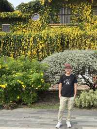2 Days in Khao Yai: Wine, Flowers & Hidden Gems – My Private Tour Experience from Bangkok 🍷🌻