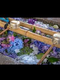 🌸茨城｜雨引観音（雨引山 楽法寺）  安産・子育てにご利益あり、四季折々の花々に包まれる参拝と癒しのスポット