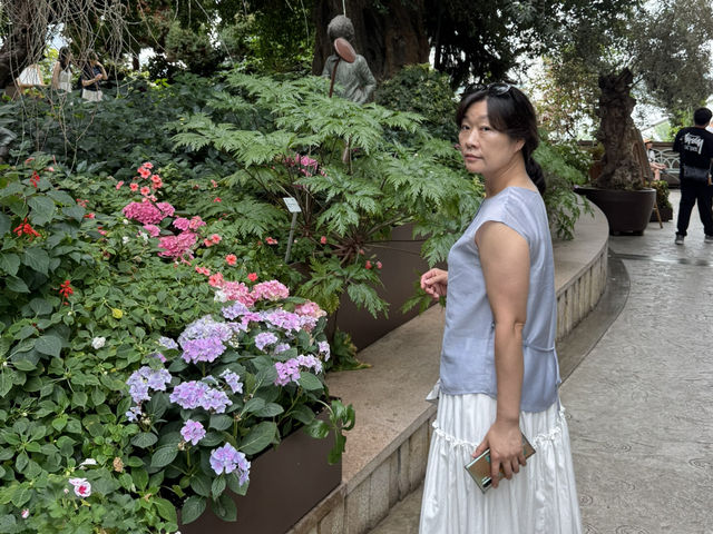 싱가포르 여행 일정 공유 ❤️🇸🇬