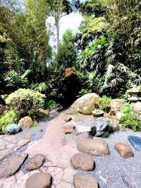 The world's first Japanese Tea House in a Tropical Forest