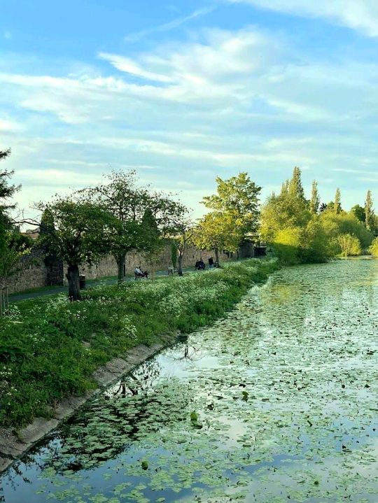 Abbey Park