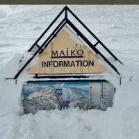 【新潟/魚沼🇯🇵】冬が待ち遠しい☃❄舞子スノーリゾート