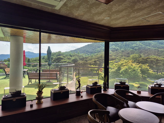 🏞️ 계룡대 체력단련장, 고요한 숲길 속 드라이브 한 스윙