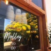 Molley coffee stand