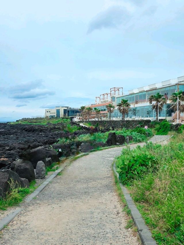 漢潭海岸 和 龍潭海邊散步🏖🌴