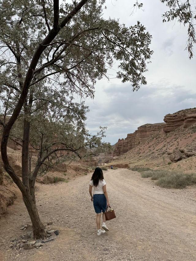 Explore the Majestic Charyn Canyon National Park in Kazakhstan 🇰🇿 
