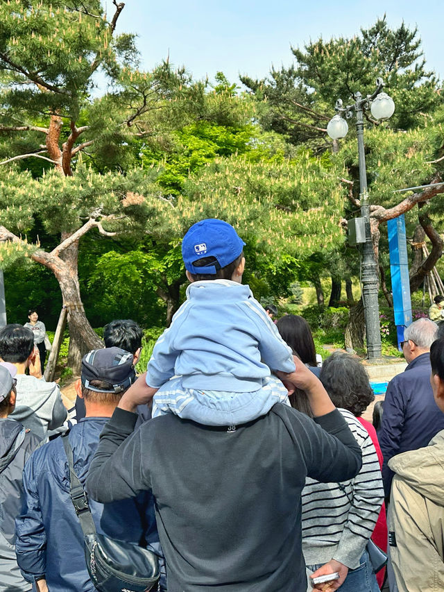 韓妞都愛來這拍「孤獨的樹」🌳 首爾奧林匹克公園全攻略✨