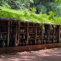 Doi Din Daeng Pottery , เชียงราย 
