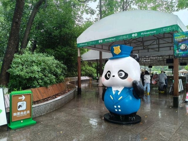 🎋【成都｜大熊貓基地】🐼 熊貓控的天堂 × 私人導覽超值推薦 × 捐款還送限量熊貓娃娃！