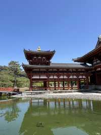 🏯🌸 Byōdō-in Temple – Heaven Reflected in Water