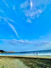 【夏本番の鎌倉 若宮大路-由比ヶ浜-材木座海水浴場お散歩おすすめ海の家】