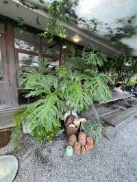 ☕“ใจปัน” Cafe เล็กๆ กลางสวน ใจกลางเมืองเชียงราย 🪵