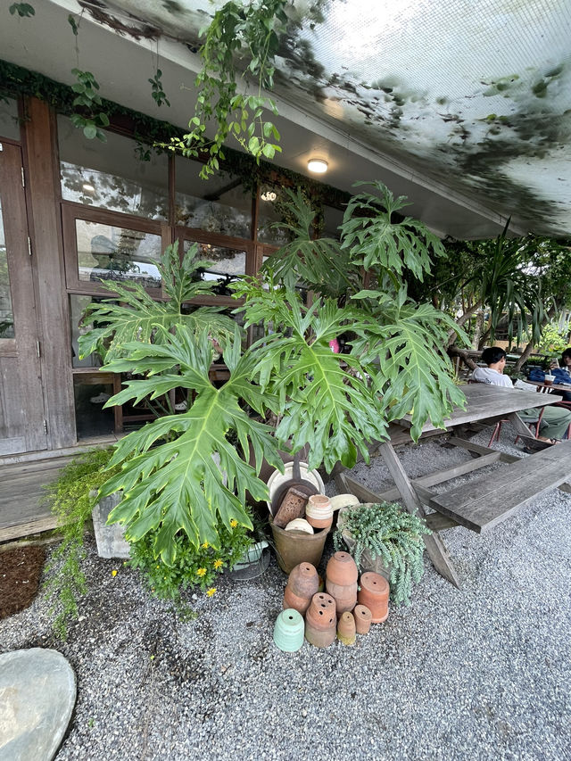 ☕“ใจปัน” Cafe เล็กๆ กลางสวน ใจกลางเมืองเชียงราย 🪵