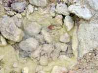 🌋 Sulphur, Smoke & Scenery – Akan-Mashu National Park Experience