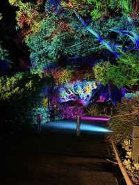 ✨ Magical Night at the Royal Botanic Gardens Melbourne 🌿🌌