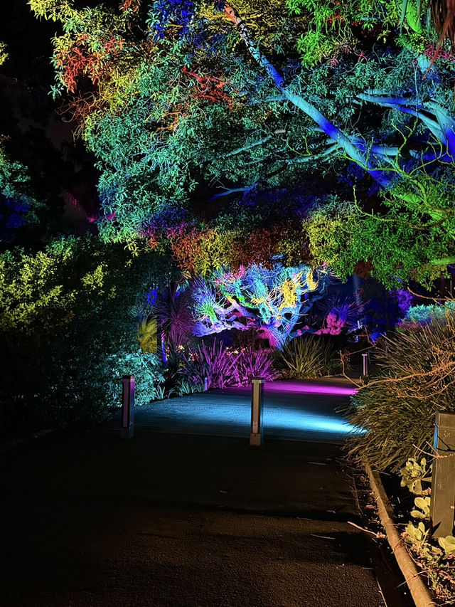 ✨ Magical Night at the Royal Botanic Gardens Melbourne 🌿🌌