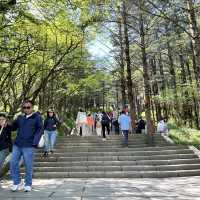 🏔️ Everything You Need to Know About Visiting Mount Emei 峨眉山 – Don’t Go Without Reading This First