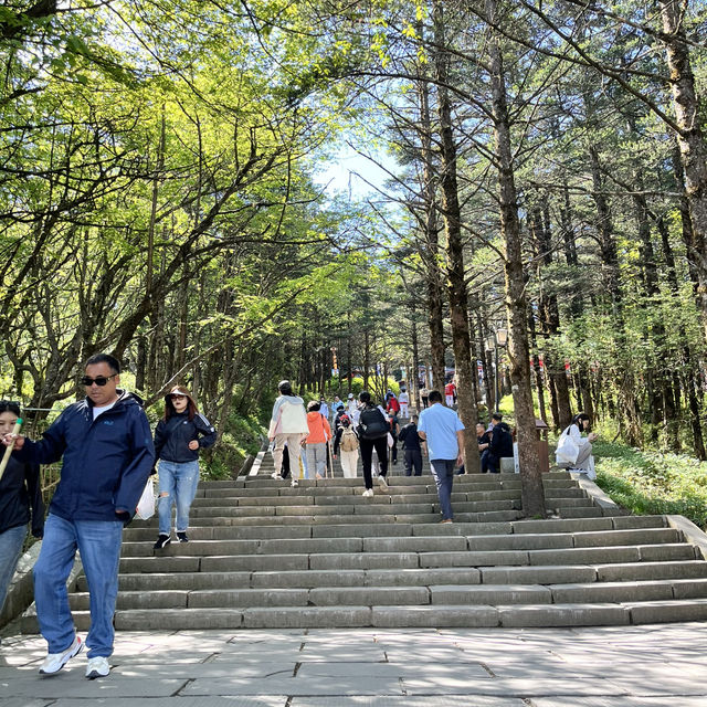 🏔️ Everything You Need to Know About Visiting Mount Emei 峨眉山 – Don’t Go Without Reading This First