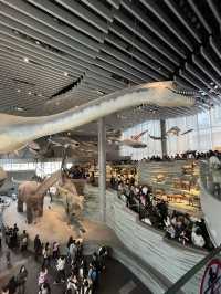 ShanghaiNaturalHistoryMuseum ไดโนเสาร์คือเท่สุด🦖🌿
