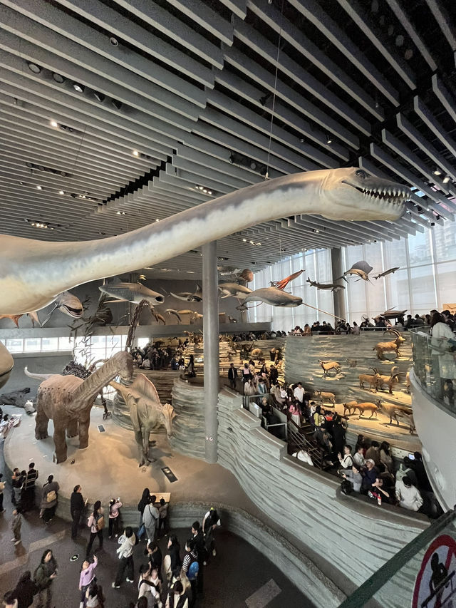 ShanghaiNaturalHistoryMuseum ไดโนเสาร์คือเท่สุด🦖🌿