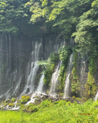[Japan 🇯🇵] Otodomeno Falls: Nagoya's Hidden Natural Escape!