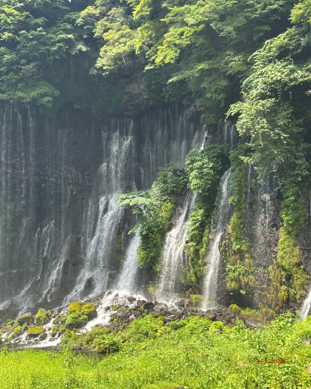 [Japan 🇯🇵] Otodomeno Falls: Nagoya's Hidden Natural Escape!