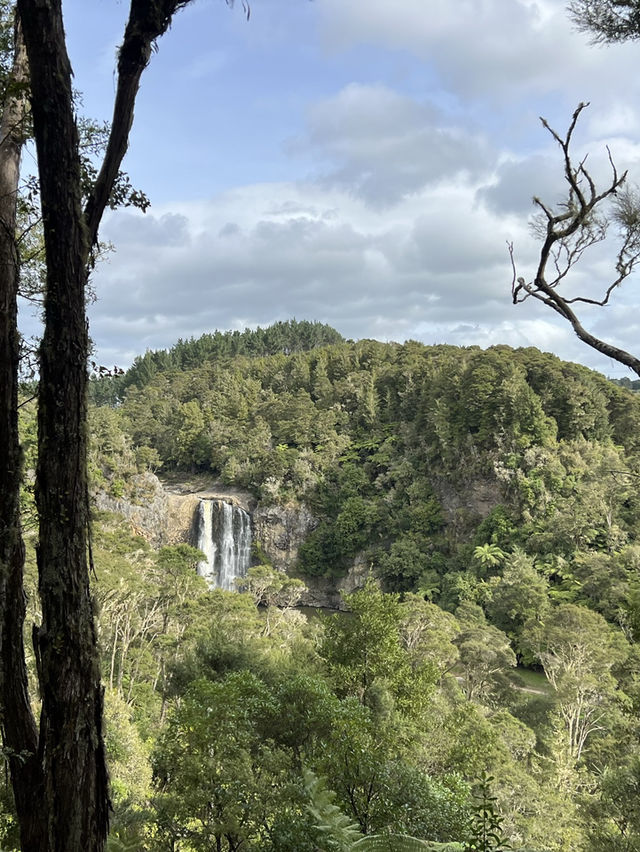 紐西蘭小眾景點—💦 Hunua Falls｜奧克蘭南方的森林秘境瀑布