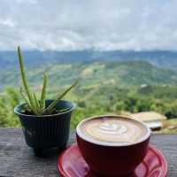 MiYo Coffee & Bar เชียงราย 