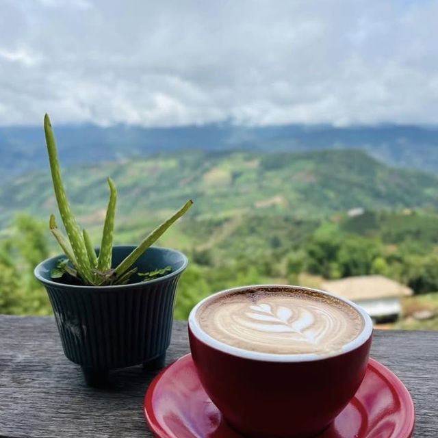 MiYo Coffee & Bar เชียงราย 