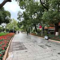🌿 A Peaceful Escape in Kunming: Green Lake Park (翠湖) 🌿