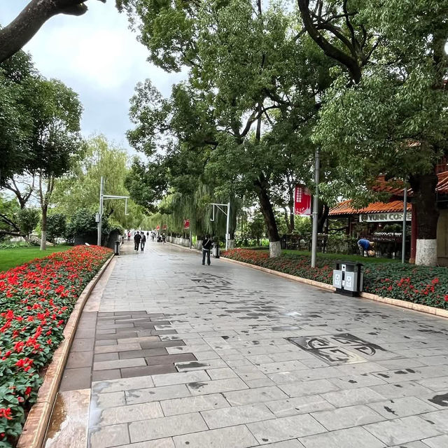 🌿 A Peaceful Escape in Kunming: Green Lake Park (翠湖) 🌿
