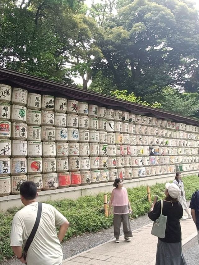 Meiji Jingu: Tokyo’s Peaceful Heartbeat in a Sacred Forest