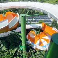 Splash Paradise in the Heart of Kuta: Waterbom Bali Delivers! 🇮🇩
