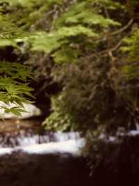 Minoh (箕面) – Osaka’s Nature Escape: Waterfalls, Maple Leaves & Craft Beer** 🍁🌿
