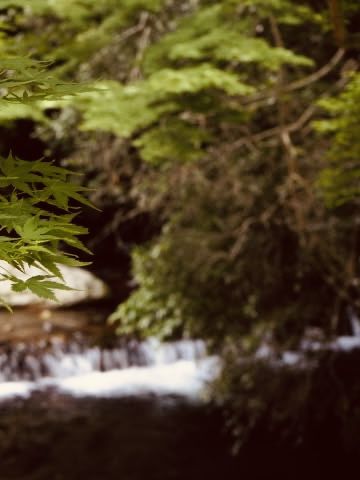 Minoh (箕面) – Osaka’s Nature Escape: Waterfalls, Maple Leaves & Craft Beer** 🍁🌿