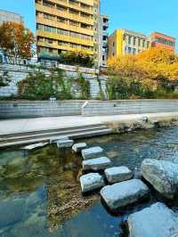Cheonggyecheon Stream – A Peaceful Walk in the Heart of Seoul