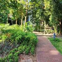 Plants and Park 