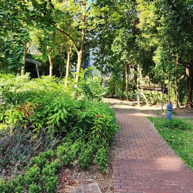 Plants and Park 