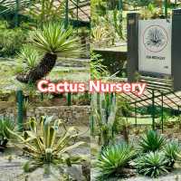 Cactus Nursery at Penang Botanical Garden 