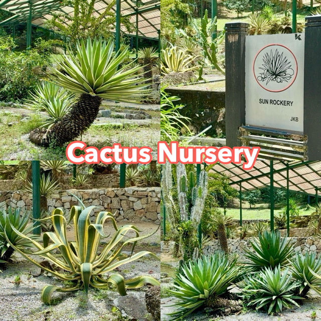Cactus Nursery at Penang Botanical Garden 