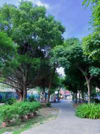 🌳 躲進這座八德小森林：高城公園