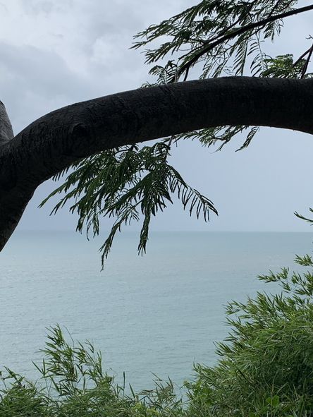 Vũng tàu family short trip