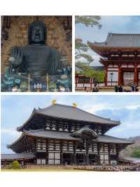 ✨ 「奈良一日遊｜與鹿共舞，穿越千年歷史」 ✨
