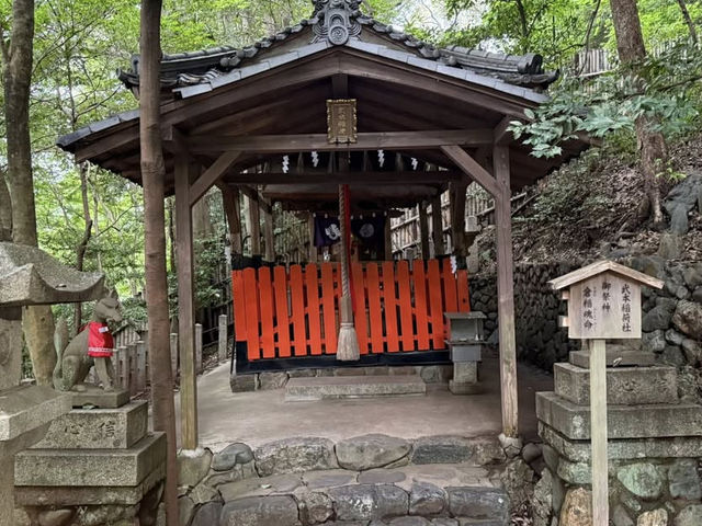 【宇治平等院鳳凰堂】10円玉の世界遺産で、時を超える美を体感🕊️✨